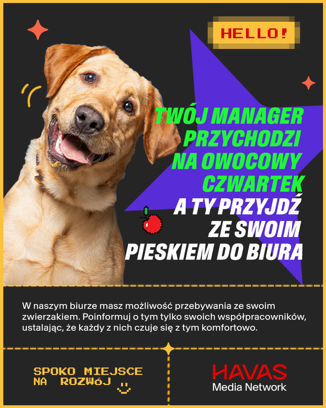 Twój manager przychodzi na owocowy czwartek, a Ty przyjdź ze swoim pieskiem do biura