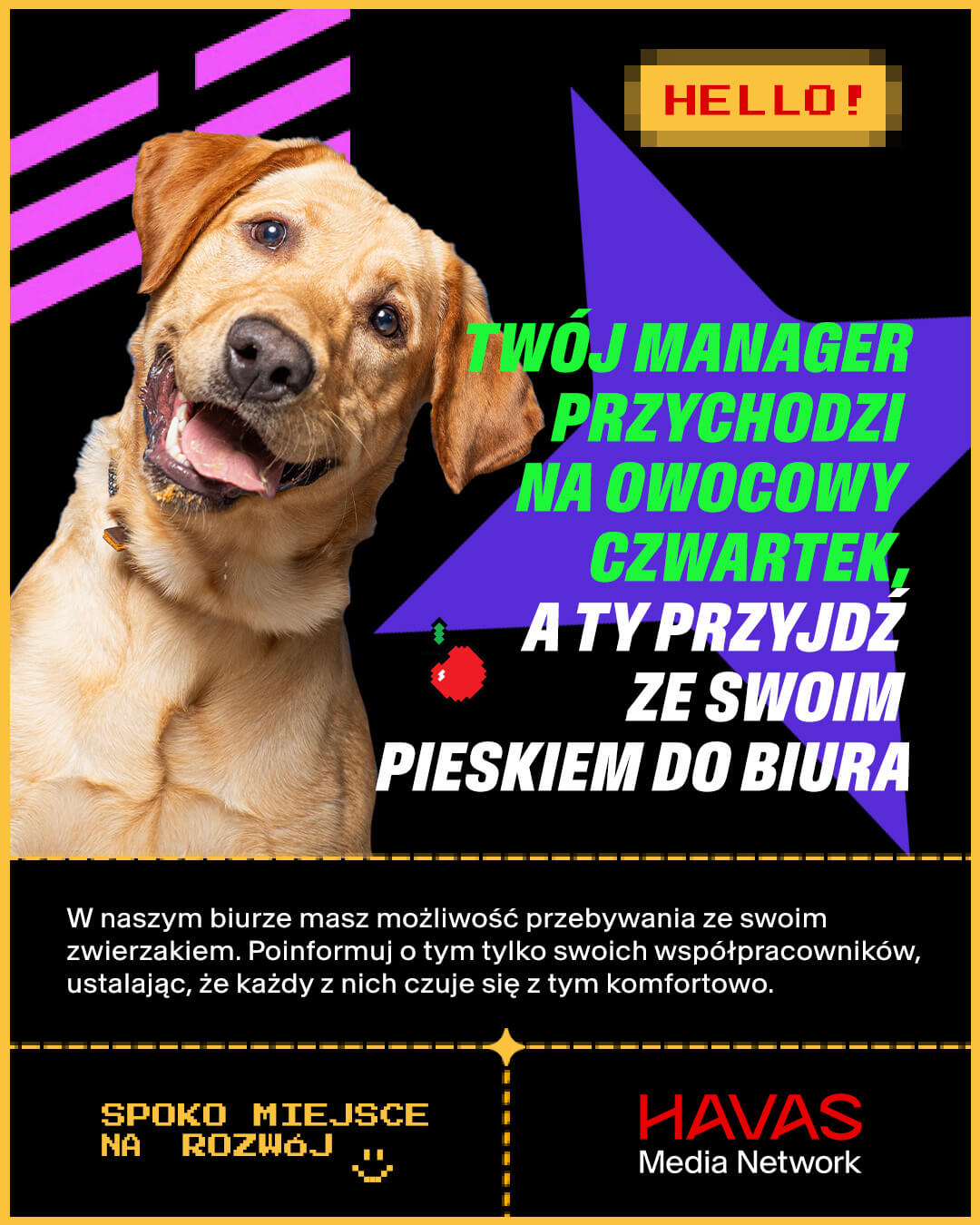 Twój manager przychodzi na owocowy czwartek, a Ty przyjdź ze swoim pieskiem do biura